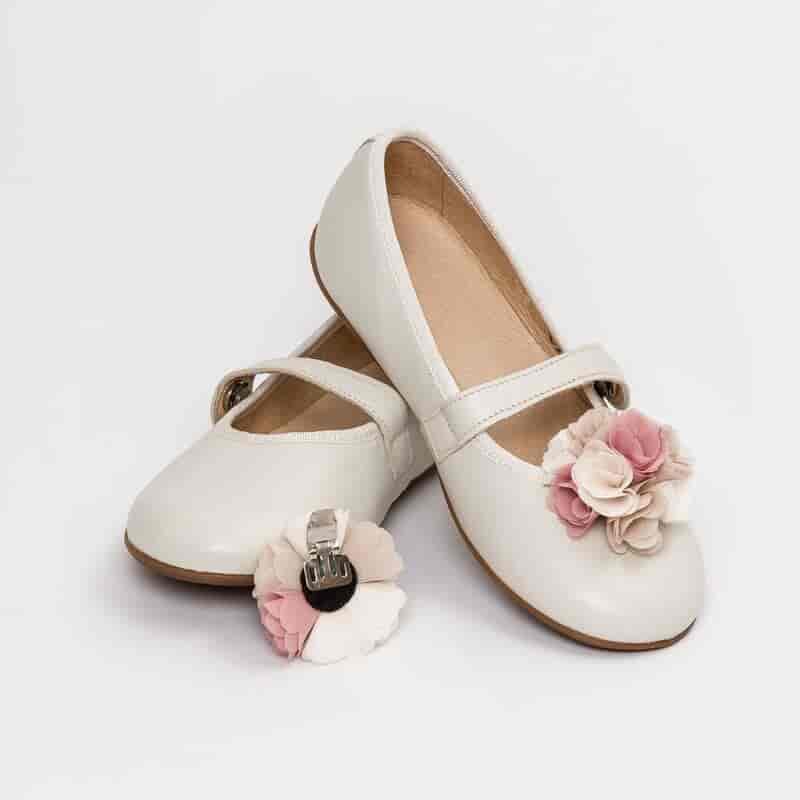 Flower shoe clips